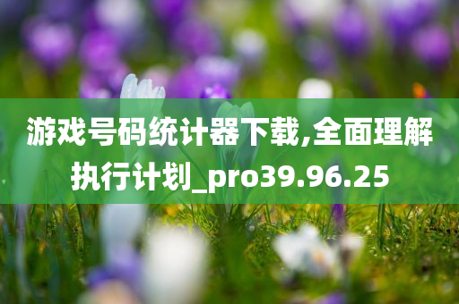 游戏号码统计器下载,全面理解执行计划_pro39.96.25