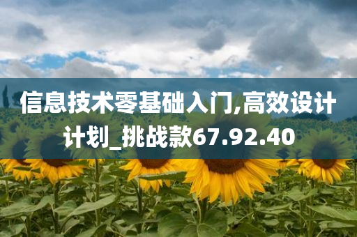 信息技术零基础入门,高效设计计划_挑战款67.92.40