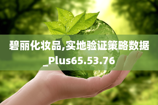 碧丽化妆品,实地验证策略数据_Plus65.53.76