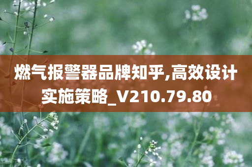 燃气报警器品牌知乎,高效设计实施策略_V210.79.80