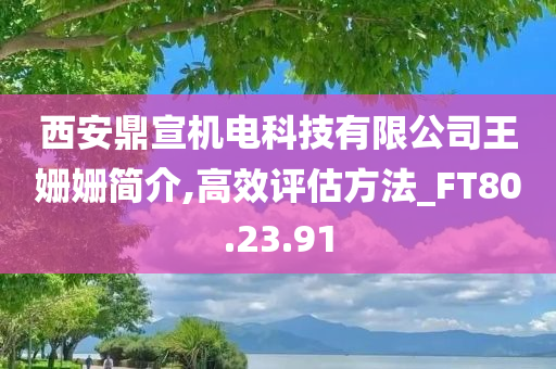 西安鼎宣机电科技有限公司王姗姗简介,高效评估方法_FT80.23.91