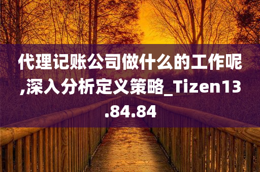 代理记账公司做什么的工作呢,深入分析定义策略_Tizen13.84.84