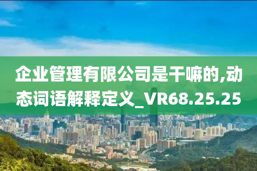 企业管理有限公司是干嘛的,动态词语解释定义_VR68.25.25