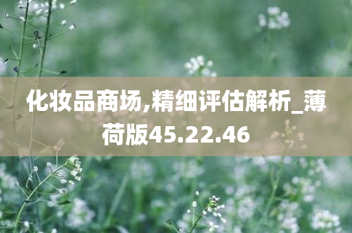 化妆品商场,精细评估解析_薄荷版45.22.46