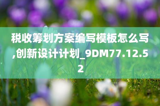 税收筹划方案编写模板怎么写,创新设计计划_9DM77.12.52