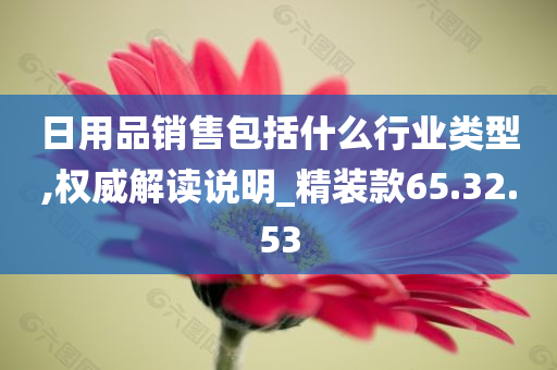 日用品销售包括什么行业类型,权威解读说明_精装款65.32.53