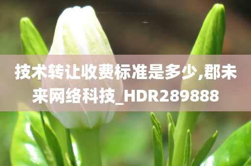 技术转让收费标准是多少,郡未来网络科技_HDR289888