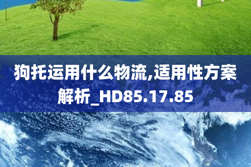 狗托运用什么物流,适用性方案解析_HD85.17.85