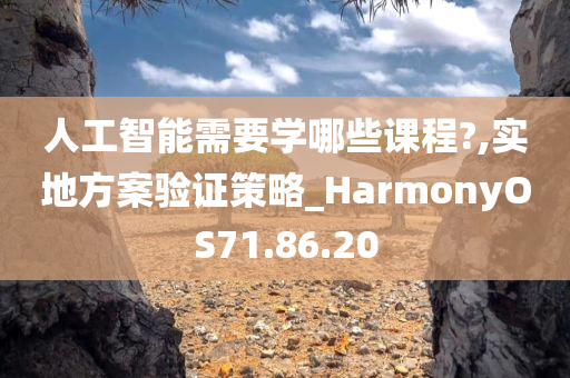 人工智能需要学哪些课程?,实地方案验证策略_HarmonyOS71.86.20