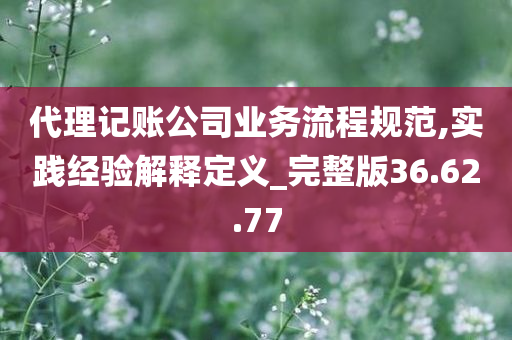 代理记账公司业务流程规范,实践经验解释定义_完整版36.62.77