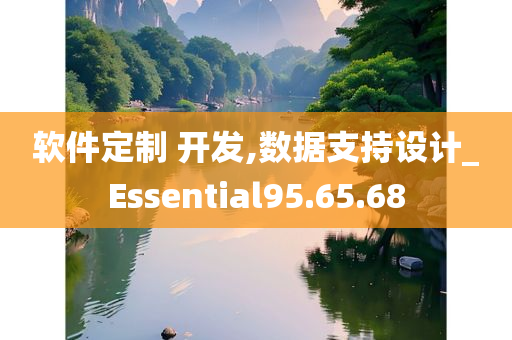 软件定制 开发,数据支持设计_Essential95.65.68