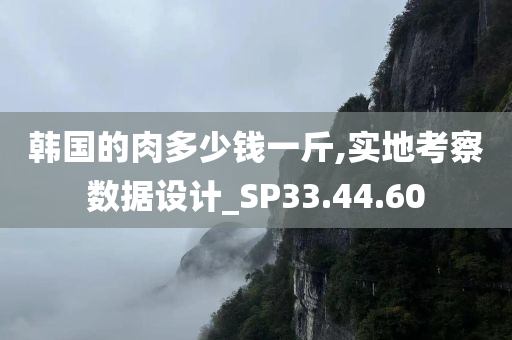 韩国的肉多少钱一斤,实地考察数据设计_SP33.44.60