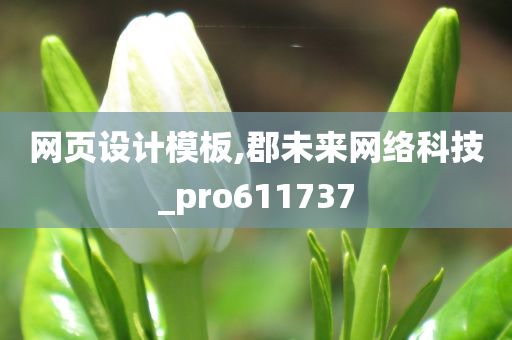 网页设计模板,郡未来网络科技_pro611737