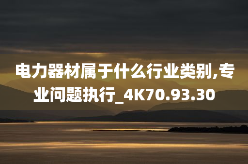 电力器材属于什么行业类别,专业问题执行_4K70.93.30