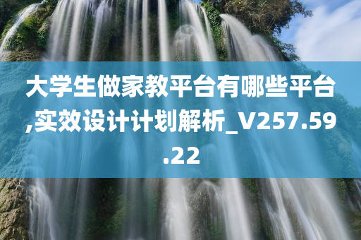 大学生做家教平台有哪些平台,实效设计计划解析_V257.59.22