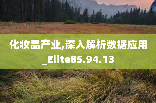 化妆品产业,深入解析数据应用_Elite85.94.13