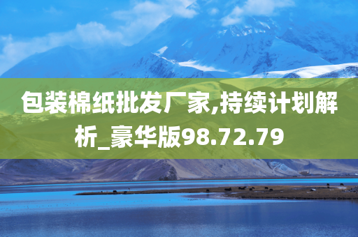 包装棉纸批发厂家,持续计划解析_豪华版98.72.79