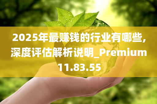 2025年最赚钱的行业有哪些,深度评估解析说明_Premium11.83.55