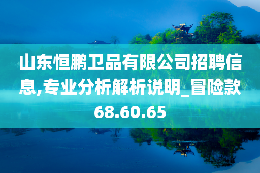 山东恒鹏卫品有限公司招聘信息,专业分析解析说明_冒险款68.60.65