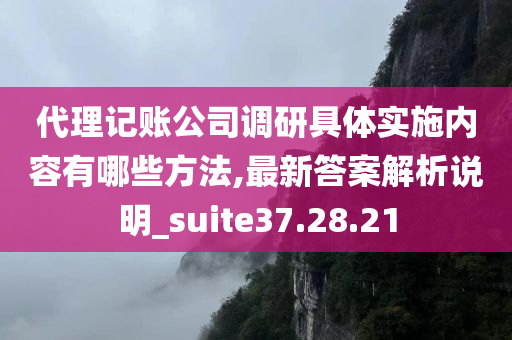 代理记账公司调研具体实施内容有哪些方法,最新答案解析说明_suite37.28.21