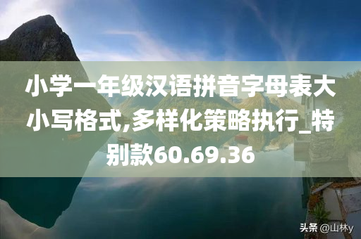 小学一年级汉语拼音字母表大小写格式,多样化策略执行_特别款60.69.36