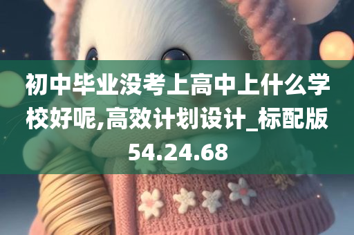 初中毕业没考上高中上什么学校好呢,高效计划设计_标配版54.24.68