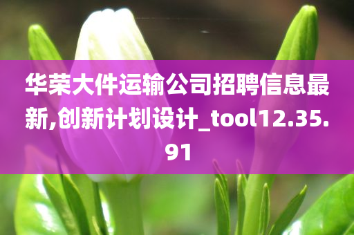 华荣大件运输公司招聘信息最新,创新计划设计_tool12.35.91