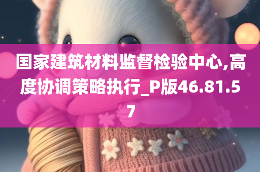 国家建筑材料监督检验中心,高度协调策略执行_P版46.81.57