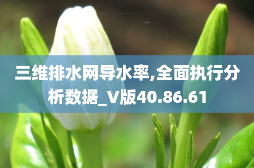 三维排水网导水率,全面执行分析数据_V版40.86.61