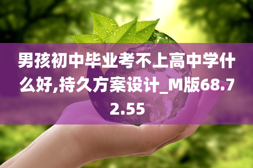 男孩初中毕业考不上高中学什么好,持久方案设计_M版68.72.55