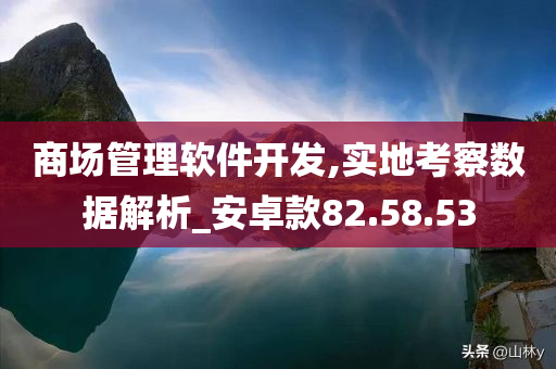 商场管理软件开发,实地考察数据解析_安卓款82.58.53