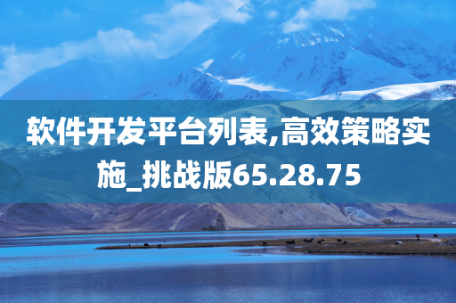 软件开发平台列表,高效策略实施_挑战版65.28.75