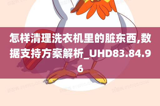 怎样清理洗衣机里的脏东西,数据支持方案解析_UHD83.84.96