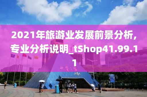 2021年旅游业发展前景分析,专业分析说明_tShop41.99.11