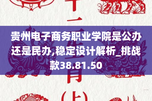 贵州电子商务职业学院是公办还是民办,稳定设计解析_挑战款38.81.50