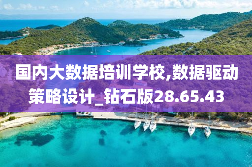 国内大数据培训学校,数据驱动策略设计_钻石版28.65.43