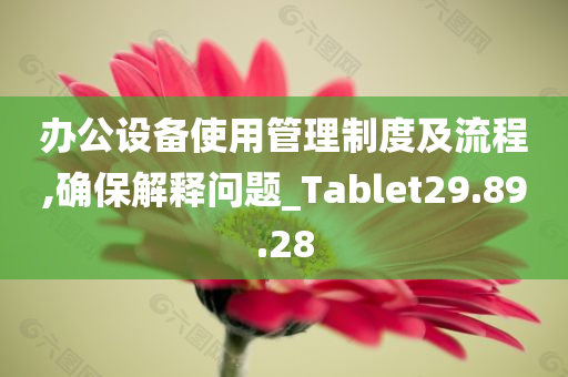 办公设备使用管理制度及流程,确保解释问题_Tablet29.89.28