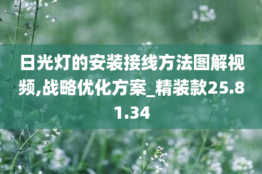 日光灯的安装接线方法图解视频,战略优化方案_精装款25.81.34