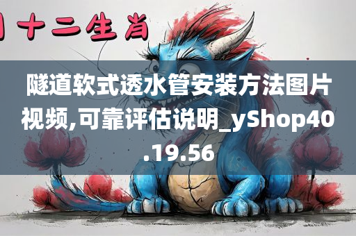 隧道软式透水管安装方法图片视频,可靠评估说明_yShop40.19.56