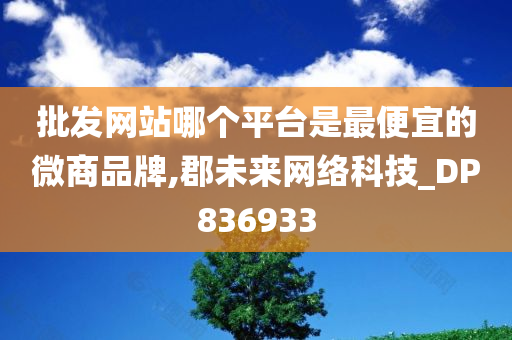 批发网站哪个平台是最便宜的微商品牌,郡未来网络科技_DP836933