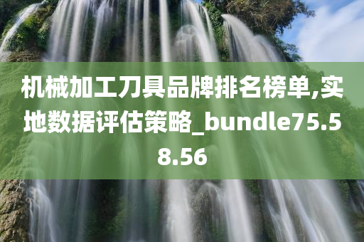 机械加工刀具品牌排名榜单,实地数据评估策略_bundle75.58.56