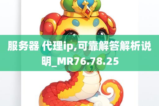 服务器 代理ip,可靠解答解析说明_MR76.78.25