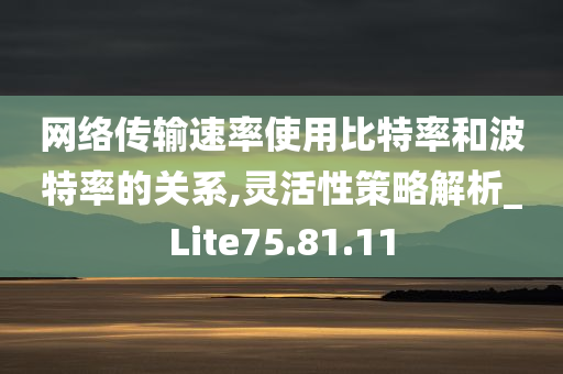 网络传输速率使用比特率和波特率的关系,灵活性策略解析_Lite75.81.11