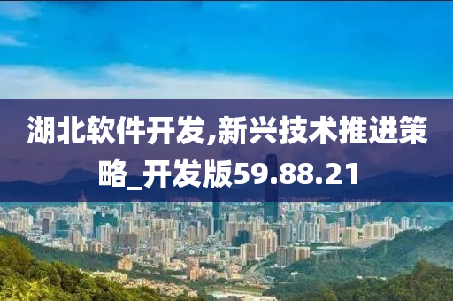 湖北软件开发,新兴技术推进策略_开发版59.88.21