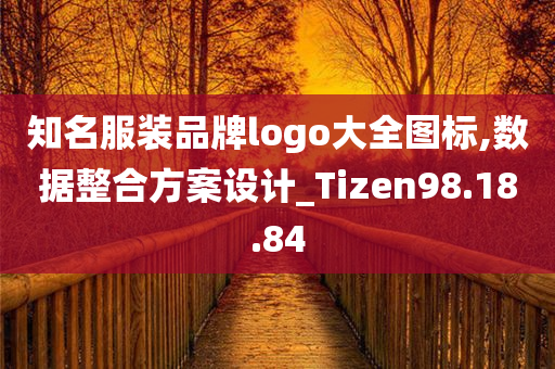 知名服装品牌logo大全图标,数据整合方案设计_Tizen98.18.84