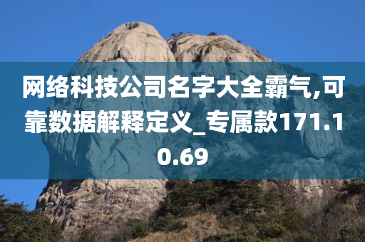 网络科技公司名字大全霸气,可靠数据解释定义_专属款171.10.69