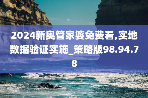 2024新奥管家婆免费看,实地数据验证实施_策略版98.94.78