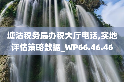 塘沽税务局办税大厅电话,实地评估策略数据_WP66.46.46