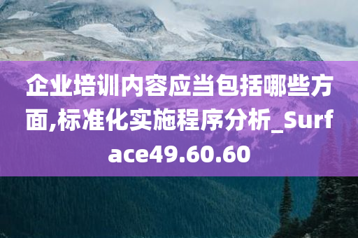 企业培训内容应当包括哪些方面,标准化实施程序分析_Surface49.60.60