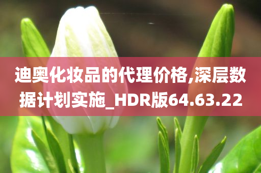 迪奥化妆品的代理价格,深层数据计划实施_HDR版64.63.22